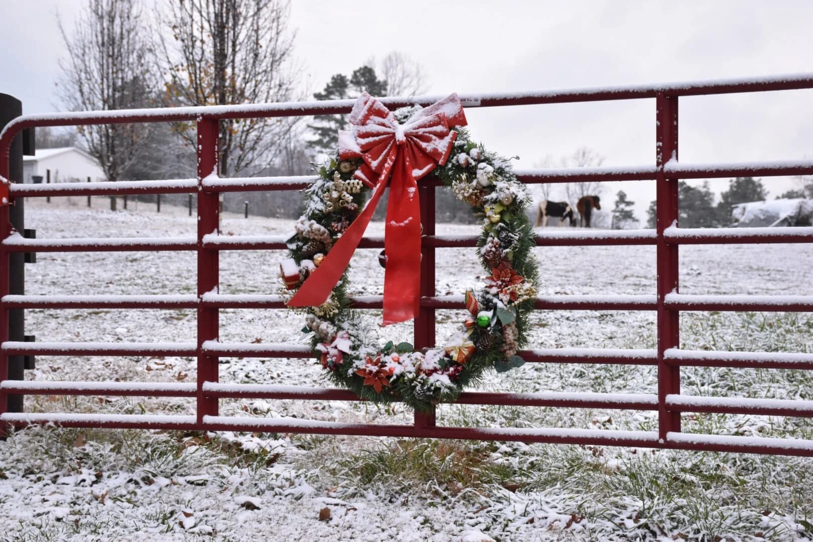 Christmas on the Farm: Claussen Family Show