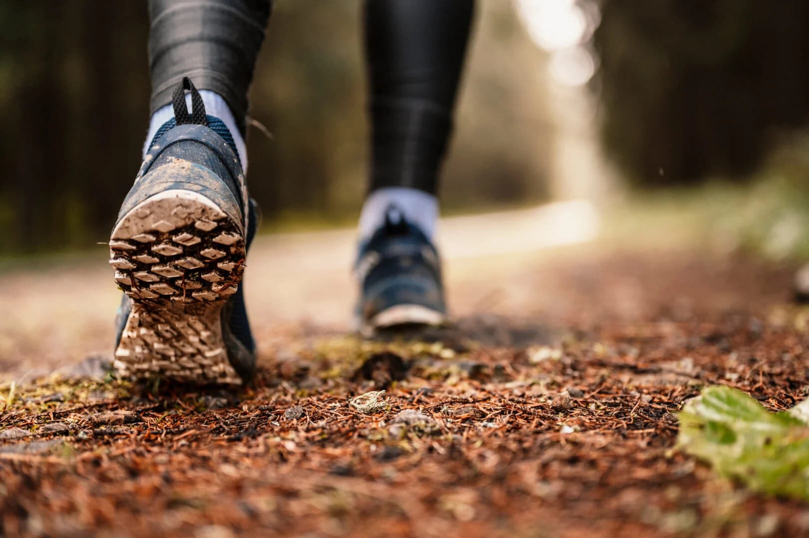 Fox Cities Marathon