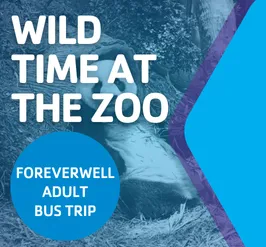 wild_time_at_the_zoo