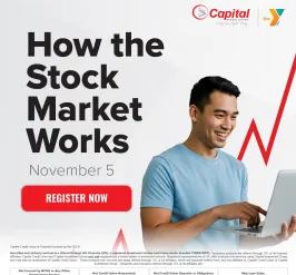 How the stock market works