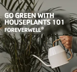 Go Green with Houseplants 101 - FOREVERWELL®