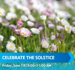 celebrate_the_solstice.png
