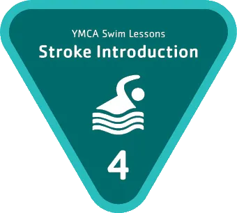 Stage 4 - Stroke Introduction