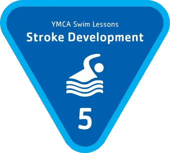 Stage 5 - Stroke Development