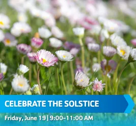 celebrate_the_solstice.png
