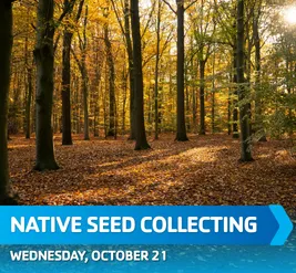 native_seed_collecting_event_image.png