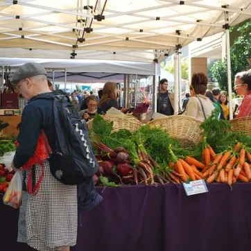 Have you checked out the local farmer's market? 