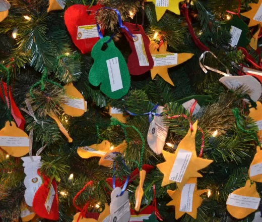 Learn about the Y's Giving Tree program
