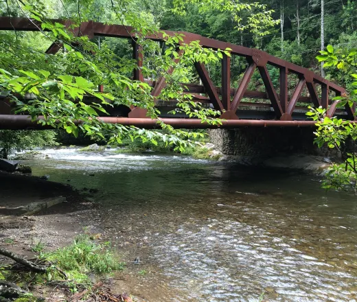 Travel to the Great Smokey Mountains with the Y!