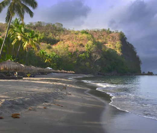 hawaii_trip.png