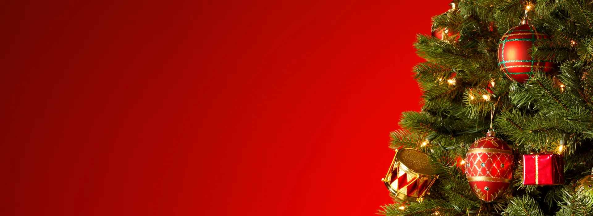 Get your Christmas Tree and support the YMCA of the Fox Cities!