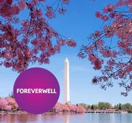 Travel to beautiful Washington D.C. with the Y to see the cherry blossoms!