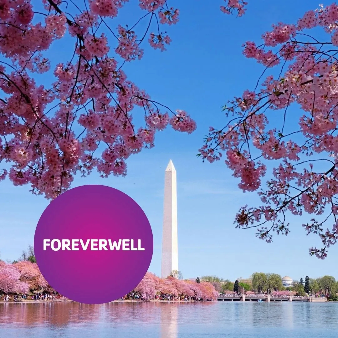 Travel to beautiful Washington D.C. with the Y to see the cherry blossoms!